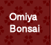Omiya Bonsai